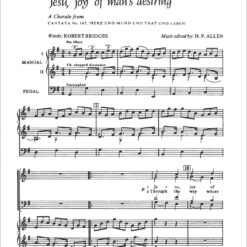 Johann Sebastian Bach : Jesu, Joy Of Man's Desiring